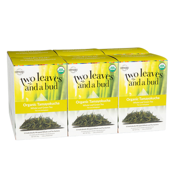 Organic Tamayokucha Green Tea Sachets | Two Leaves and a Bud